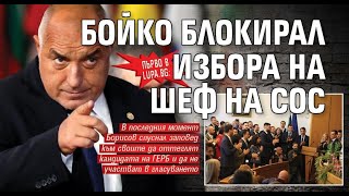 Евгени Петров: Кеч мания в парламента, СОС в собствен сос!