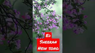 Ed Sheeran - Perfect (Lyric Video) New song #edsheeran #shortsfeed #youtubeshorts #englishsongs