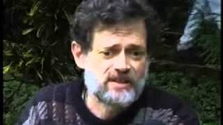 The best Interview about drugs : Terence McKenna in Mexico 1996