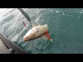 ОЧЕНЬ УДАЧНАЯ И ОПАСНАЯ РЫБАЛКА a very good and dangerous fishing