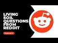 Living Soil Questions From Reddit - Ep 3