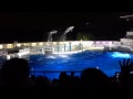 京都水族館 イルカショー kyoto aquarium dolphinarium