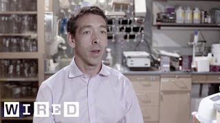 The Elite Study: DNA of Extreme Human Performance