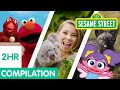 Sesame Street: Animals for Kids Compilation | 2 Hours