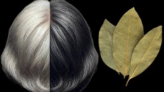 Grandmother's secret for beautiful and black hair! Gray hair turns black!