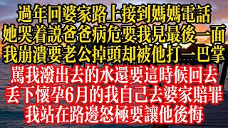 過年回婆家路上接到媽媽電話，她哭着說爸爸病危要我見最後一面，我崩潰要老公掉頭卻被他打一巴掌，罵我潑出去的水還要這時候回去，丟下懷孕6月的我自己去婆家賠罪，我站在路邊怒極要讓他後悔！#情感故事