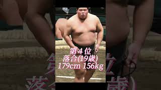 横綱期待値ランキング！ #sumo #shorts #相撲