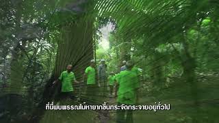 EP 3  Community Forestry for the Local Economy ป่าชุมชนเพื่อเศรษฐกิจฐานราก