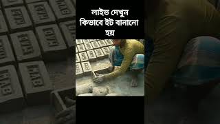 কিভাবে ইট বানানো হয়। how to bricks making live video