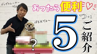 【ドッグトレーナー愛用品】あったら便利な生活必需品を5つご紹介！