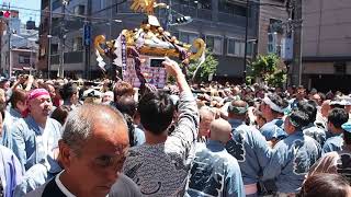 浅草　三社祭　本社神輿渡御　一之宮　2018.5.20  Asakusa Sanja-Matsuri Mikoshi