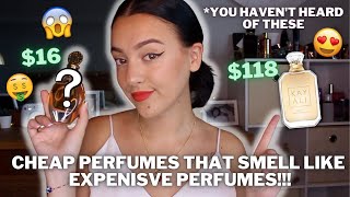 🤑CHEAP PERFUMES THAT SMELL LIKE EXPENSIVE PERFUMES!!🤑YOU HAVEN'T HEARD OF THESE!!