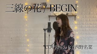 [歌ってみた] 三線の花 / BEGIN Covered by 西野名菜