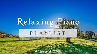 Relaxing Piano Music for Studying and Stress Relief | MEADOW MURMUR