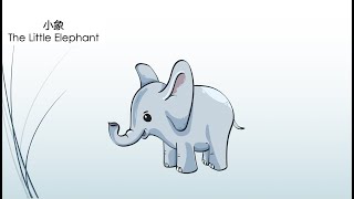 小象 The Little Elephant