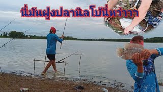 ตกปลานิลไซส์โบ้ลำปาว[พร้อมบอกทางเข้าหมาย...]???#ตกปลา#fishing #ตกปลาหน้าดิน #fish #ตกปลาหมายธรรมชาติ