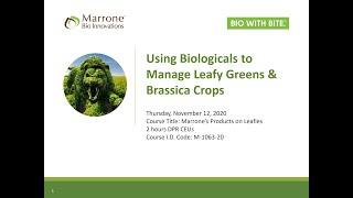 Biologicals for Managing Leafy Green Diseases & Insect Pests