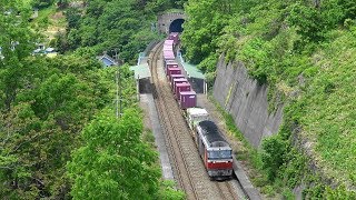 トンネルに挟まれた室蘭本線≪崎守駅≫を俯瞰撮影する