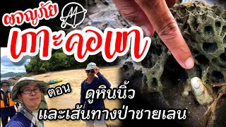 ม่วนหมาน: เที่ยวพังงา | ผจญภัยเกาะคอเขาEp.3 | หินนิ้ว+เส้นทางป่าชายเลน | พังงา KohKhoKhao, PhangNga.