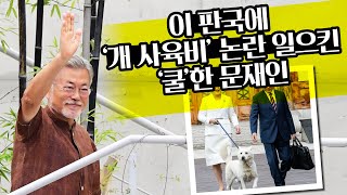 [박희석TV] 이 판국에 ‘개 사육비’ 논란 일으킨 ‘쿨’한 문재인