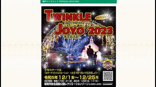 Japan Twinkle Joyo Christmas Lights