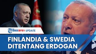 Presiden Turki Tentang Finlandia & Swedia Gabung NATO, Tayyip Erdogan Yakini Mereka Tampung Teroris