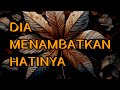 🎆 DIA MENAMBATKAN HATINYA 🎆