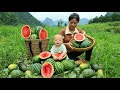 Harvest watermelons to sell at the market and grow fruit trees on the farm - Lý Thị An