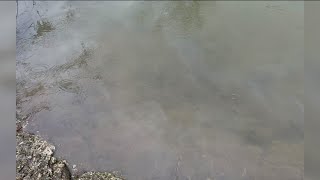 Diesel fuel leak in Portage River contained