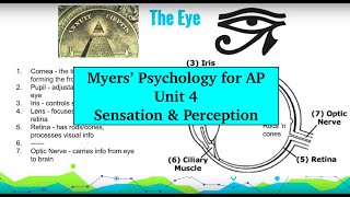 AP Psychology | Myers’ Unit 4 Part 1