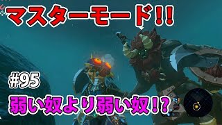 #95【ゼルダの伝説】マスターモード！ライネルのいる雷獣山へ！【実況プレイ】ブレス オブ ザ ワイルド Nintendo Switch