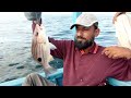 ARG Fishing | Fishing In Karachi | Abdul Rahman Goth Fishing Trip November 12, 2024