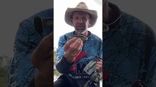 David Brace breaks down the ZMan Mulletron LT. #fishing #shorts #zman #mulletron #murraycod #lure
