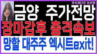 [금양 금양주가 금양주가전망]🧡장마감후충격속보!! 망할대주주 엑시트 했다! 앞으로 주가 어떻게 흘러갈지.. 꼭보시고 대응!