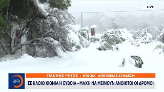 Σε κλοιό χιονιά η Εύβοια – Μάχη να μείνουν ανοικτοί οι δρόμοι | OPEN TV