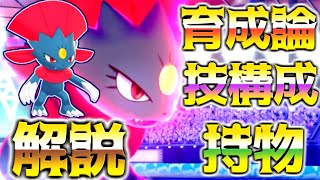 マニューラ育成論対策！持ち物性格、技構築、戦い方、徹底解説！【ポケモン育成論】【ポケモン剣盾】