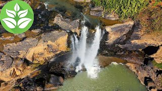 Large Tropical Waterfall. (White Noise of Nature). The sounds of the Forest and Waterfall for Sleep.