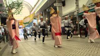 よさこい   備中岡山・伊呂波踊り子隊 今治商人まつり2012