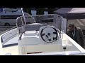 pegazus 460 boat 2023 exterior and interior