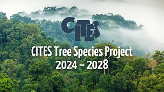 CITES Tree Species Project (CTSP) [English subtitles]