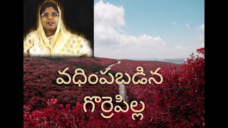 వధియింపబడిన గొర్రెపిల్ల I శాంతి సువార్త I Dr. V. Santhi