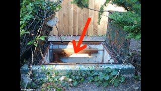 This Family Discovered A Hidden Door In The Backyard  Wait Until You See What They Found