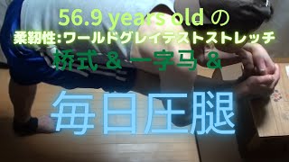 #56.9歳 の #毎日 #圧腿 (2025年2月15日) #小野英典 ( #郭雲深 直系の #玄孫弟子 ) #武術 #柔靭 #练功 #ウーシュニスト #一字馬 #站桩专家 #每天 #一字马 #桥式