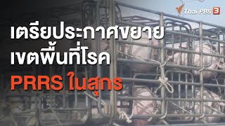 เตรียประกาศขยายเขตพื้นที่โรค PRRS ในสุกร (10 พ.ย. 63)