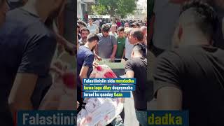 Falastiiniyiin sida meydadka kuwa lagu dilay duqeymaha Israel ku qaaday Gaza.