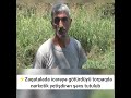 zaqatalada icarəyə götürdüyü torpaqda narkotik yetişdirən şəxs tutulub xeberler xəbərlər shorts