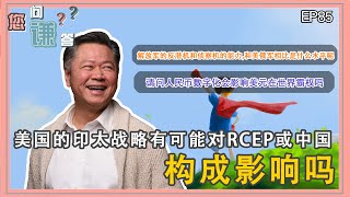 《您问谦答》赖岳谦 第八十五集｜解放军的反潜机和侦察机的能力,和美俄军相比是什么水平呢  请问人民币数字化会影响美元在世界霸权吗  美国的印太战略有可能对RCEP或中国构成影响吗?｜