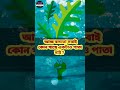 Dhadha new googly mojar dhadha #dhadha #shorts #mindgame #dadagiri @seragoogly-3829 #ytshorts #181