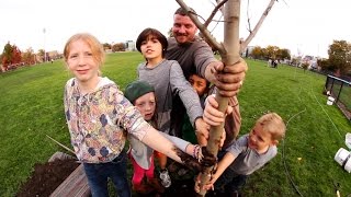 Go Plant a Tree | PLUM LANDING on PBS KIDS
