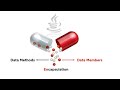 Encapsulation in Java | Access Modifiers | Getters and Setters